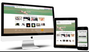 Ecommerce Web Design