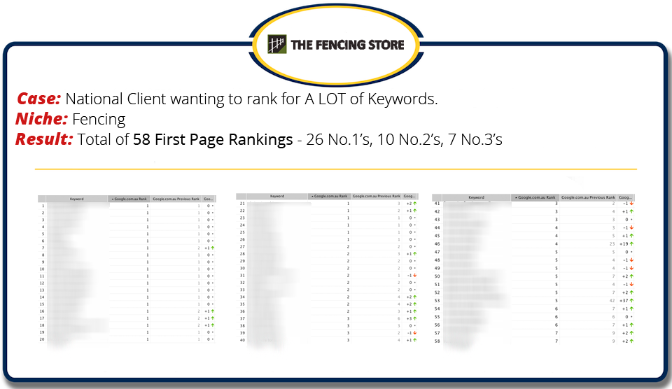 SEO Company Results