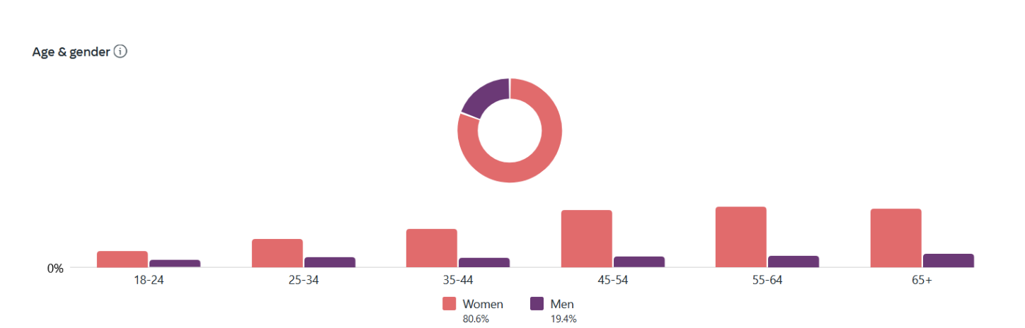 snapshot of customer Insights derived from Meta Business Suite